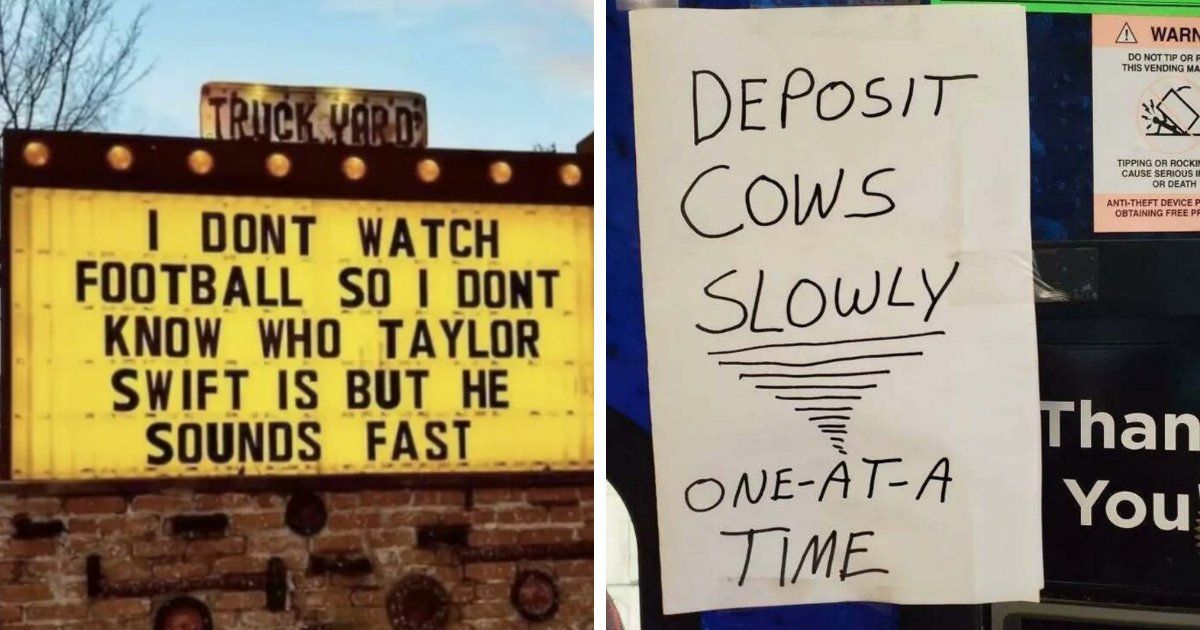 50 Public Signs That Accidentally Became Comedy Gold