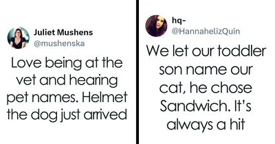 40 Pet Names So Unhinged Even Pharmacists Had To Laugh