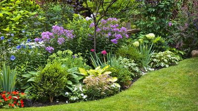 Don’t make this one gardening mistake — it could stop your plants from thriving