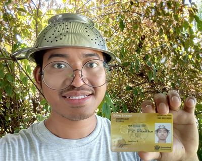 Colander-wearing Pastafarian strains the rules with Queensland driver’s licence photo