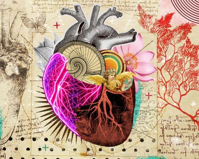 My cultural awakening: Leonardo da Vinci made me rethink surgery – I’ve since mended more than 3,000 hearts