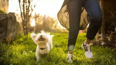 Why Losing A Pet Hurts More Than Some Human Relationships