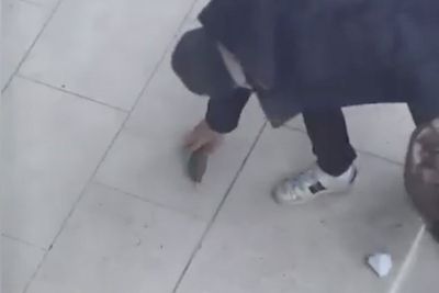 CCTV captured moment Brazilian national left fake stick of dynamite outside MI5 HQ