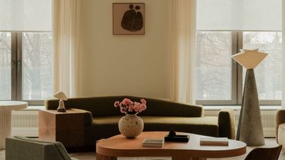 5 Ways to Bring Privacy to Street-Facing Windows (Without Blocking Out too Much Spring Light)