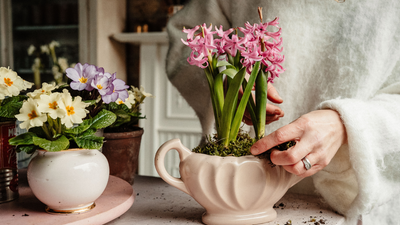 Petals & Roots: Bring Beautiful Primroses into Your Home For an Easy and Timeless Spring Refresh