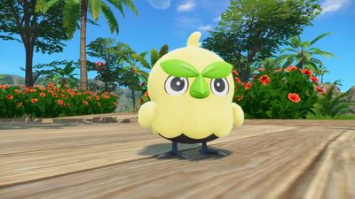 Pokemon Winds and Waves' "angry bird" Browt already has quite the fan following despite everyone agreeing the grass starter is kind of ugly