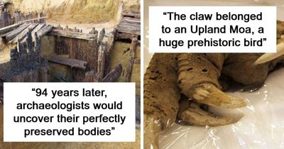 “The First Leper”: 25 Times Archaeologists Dug Up Something Straight Out Of A Nightmare