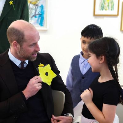 Royal Fans Praise Prince William's Quick-Thinking "Dad Mode" Reaction While Meeting an Apprehensive Little Girl During Visit to Wales