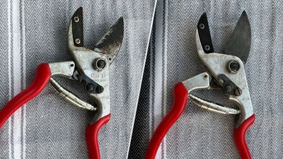I tried a new method to clean my pruning shears — here's why it can't beat my time-honored routine