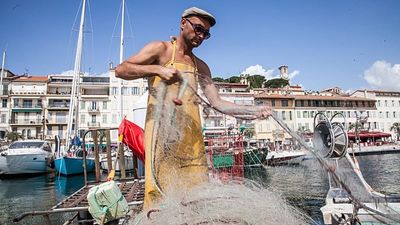 ‘Not that optimistic’: As 30x30 goals falter, can an Ocean Act save Europe’s waters?