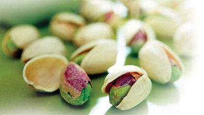 Pistachio production: Spain goes nutty for the snack that's become a food sector staple
