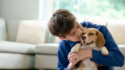 Is it financially responsible to get a pet in your 20s?