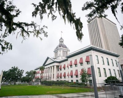 Florida wants its own CIA. That could lead to unchecked domestic surveillance