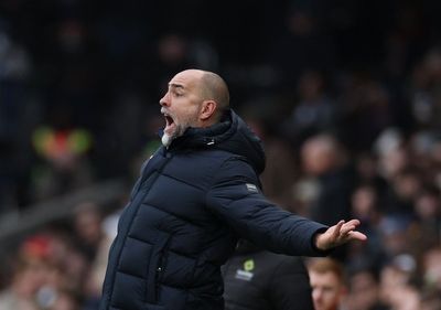 Fulham 2-1 Tottenham: Spurs fail to capitalise on relegation rivals slipping up