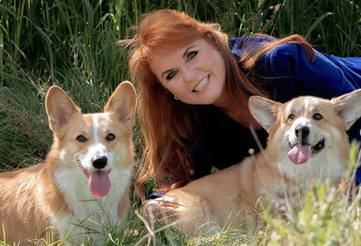 Sarah Ferguson Revelation: Why the Duchess Believes Late Queen's Corgis Are 'Talking' to Her