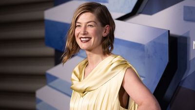 ‘Women remain grateful to have careers’: Rosamund Pike says women's employment as the 'default parent' is too easily derailed
