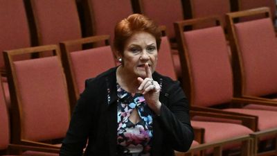 'This is a stunt': Hanson rebuked after Muslim remark
