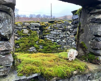 Country diary: Taking the long view of the farm and these fells