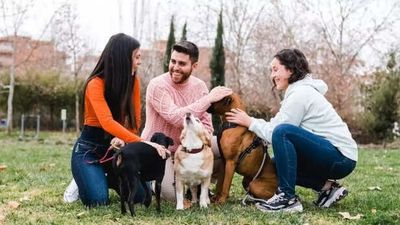 What Pets Understand About Us That Humans Don’t?