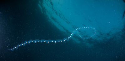 Satellite images show how Antarctica’s vanishing sea ice is changing the food chain