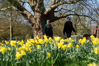 London weather: Temperatures to soar over gloriously sunny few days