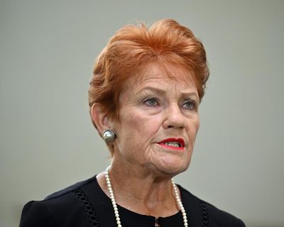 Pauline Hanson claimed taxpayer-funded trips around Australia that coincided with One Nation fundraisers