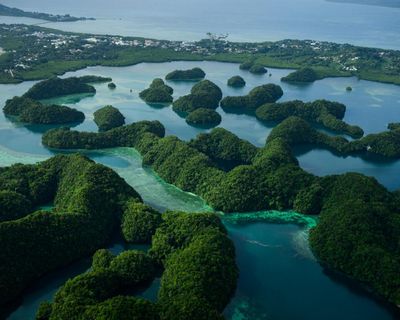 UK slashes climate aid programmes for developing countries