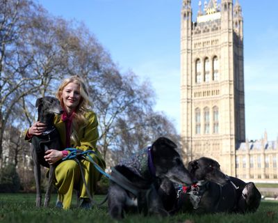 Farage emulating ‘his hero Trump’ in deriding byelection results, says new Green MP