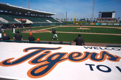 Owners of Tigers, Red Wings create Detroit SportsNet to broadcast games