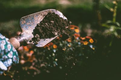 The Compost Mistake That Wastes Money Every Spring