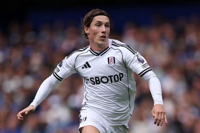 Is Harry Wilson injured? Injury latest on Fulham winger