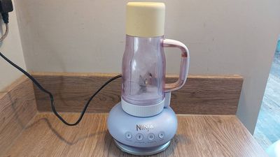 I tried the Ninja BlendBoss, and it might be the best blender to cut through frozen ingredients