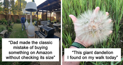 55 People Saw Normal Everyday Things In Big Sizes And Had To Share The Pics