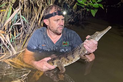 Crocodile found in Australian creek 2,000km from tropical habitat: ‘Thought it was a log’