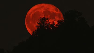 Blood Moon March 3 Time: See the Full Timeline as the Total Lunar Eclipse is Visible in North America, Central Asia, and South America