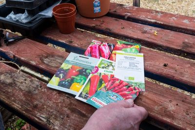 Experts weigh in on whether or not you should use out-of-date seeds