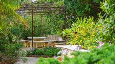 Could Your Garden Be Blocking Good Energy? How to Map the Feng Shui in Your Yard for a More Harmonious Space