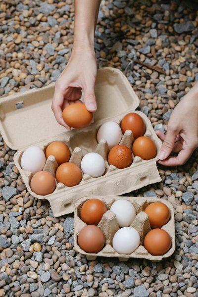 4 Ways to Get Free Eggs at the Grocery Store