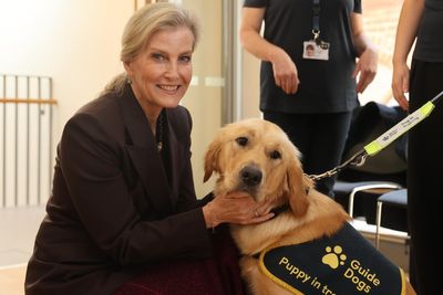 Duchess of Edinburgh celebrates 40 years of Guide Dogs for the Blind in NI
