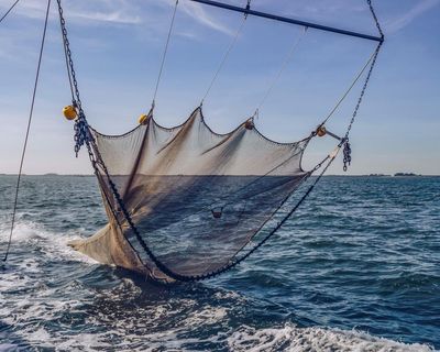 Ocean heating and overfishing need to be tackled together