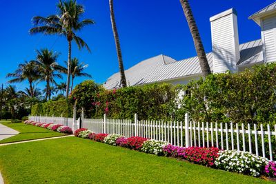 Failed experiment: Why controversial HOAs may become a thing of the past in Florida