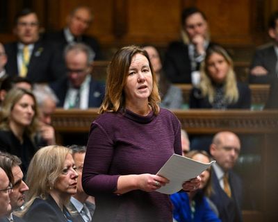 UK parliament to debate whether all suicides linked to domestic abuse to be investigated as homicide