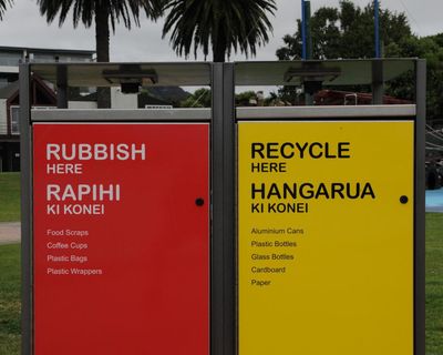 New Zealand coalition votes to make English an official language as critics slam ‘cynical’ bill