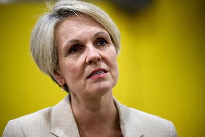 Plibersek accuses Mafs of platforming ‘coercive control’ after contestant wanted a woman ‘obedient’ like a dog