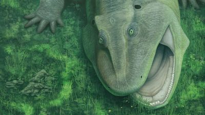 Prehistoric water-dwelling weirdo with sideways teeth and a twisted jaw was already a 'living fossil' 275 million years ago
