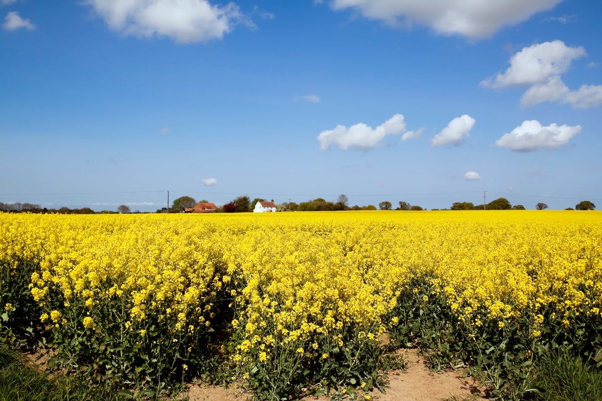 The prettiest Norfolk villages to visit this spring