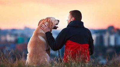 The Silent Pressure of Being a “Perfect” Pet Parent on Social Media