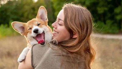 Why Routine Matters More When You Have a Pet? All You Need to Know