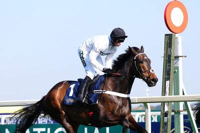 Amid an uncertain time for the horseracing industry what does the future hold for Constitution Hill?