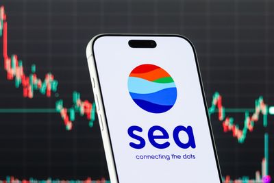 Sea doubles annual earnings, yet profitability worries drag shares down in worst drop in 2 years
